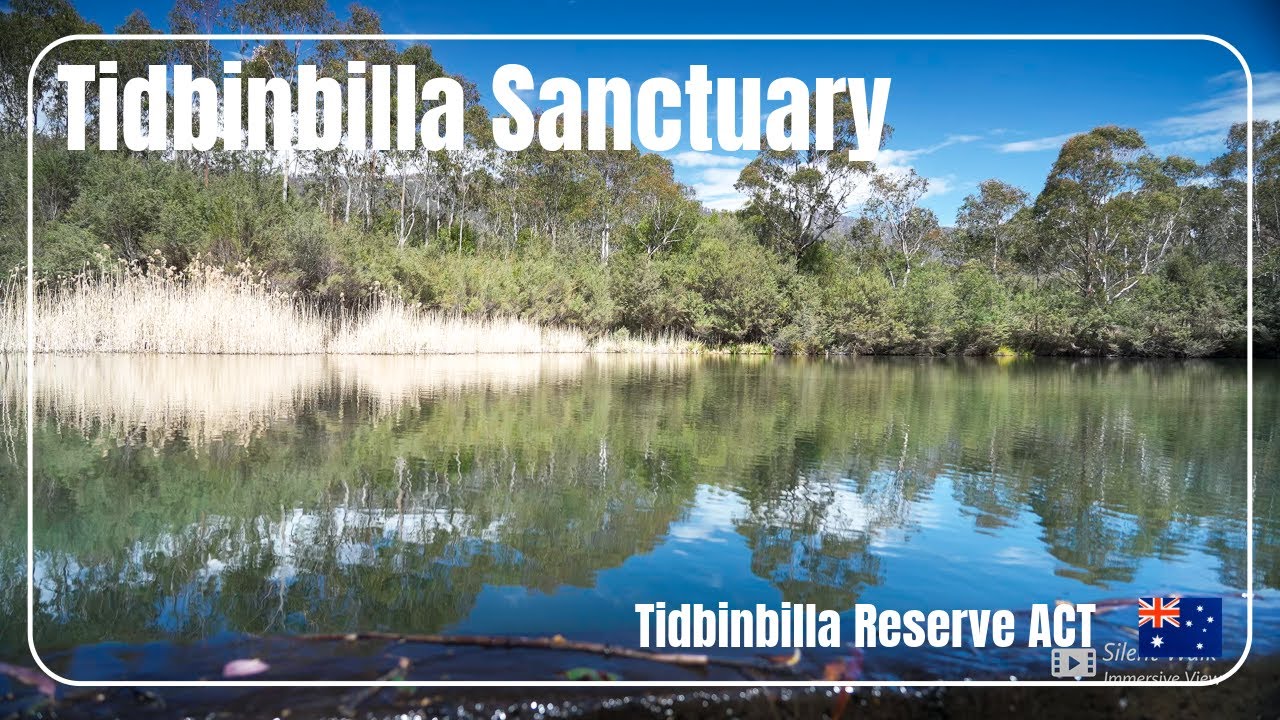 [4K HDR] The Sanctuary Loop | Tidbinbilla Nature Reserve Walking Tour | ACT Australia Walk