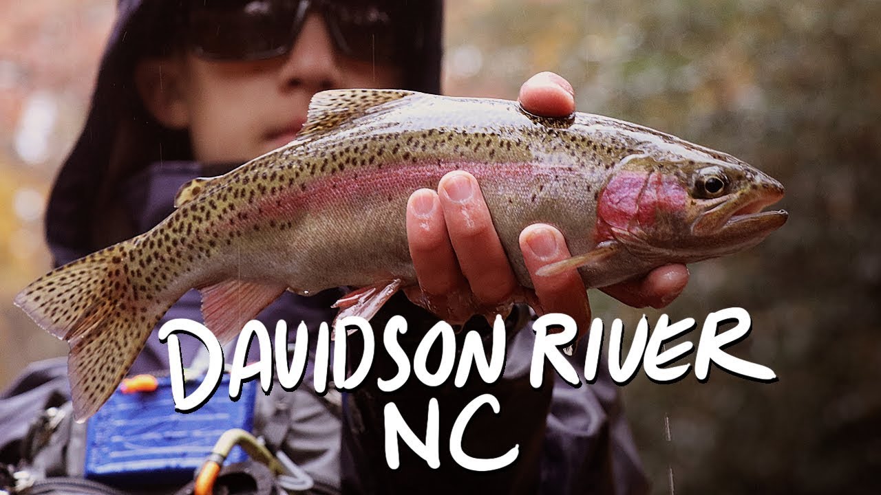 Fly Fishing Film | DAVIDSON RIVER, NC | Fall Fly fishing on the Davidson River, North Carolina