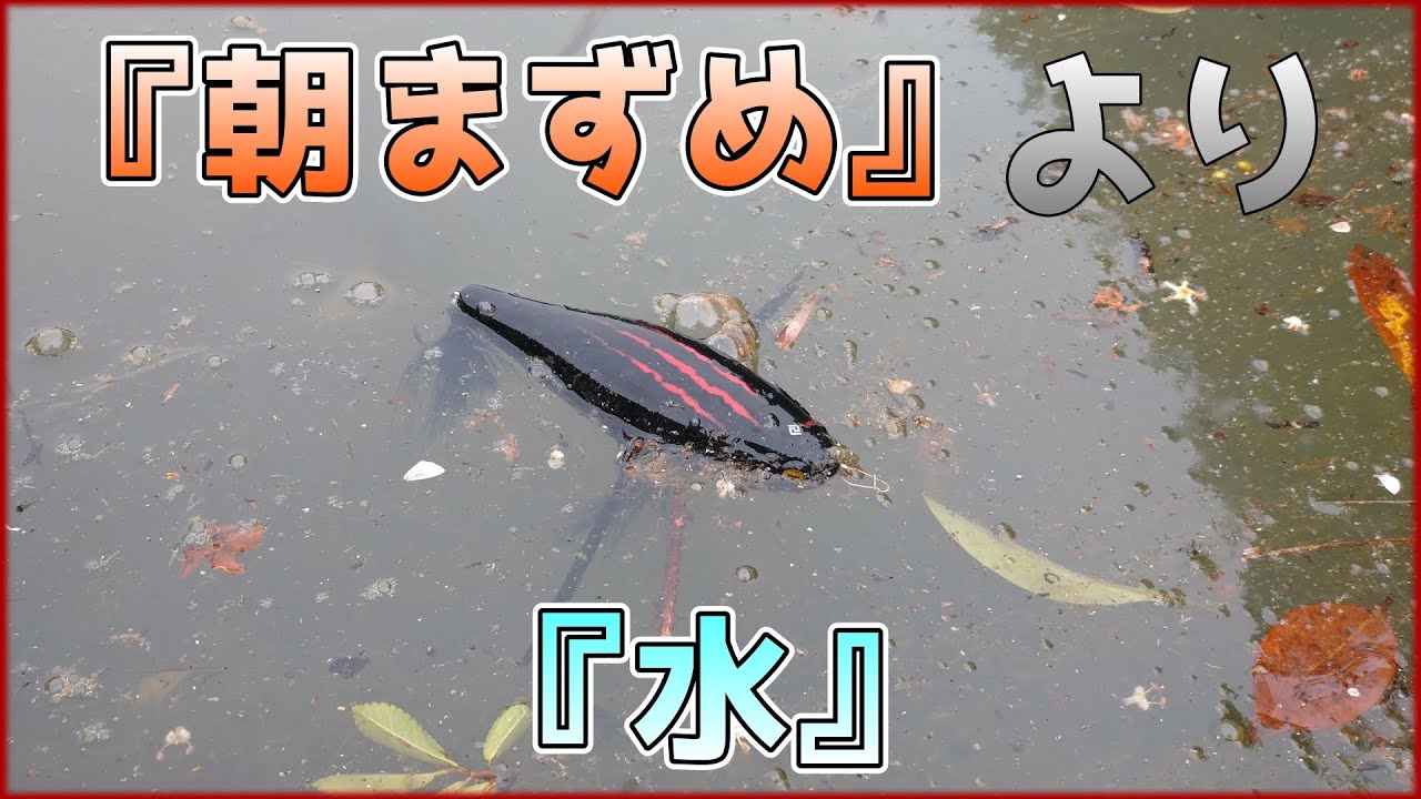【朝マズメ】完徹は三文の徳？【朝ダッジ】