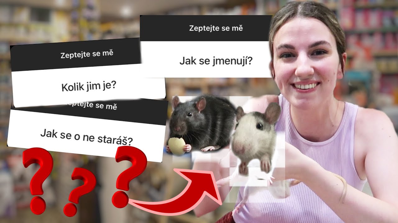 Naši noví POTKÁNCI. 🐭