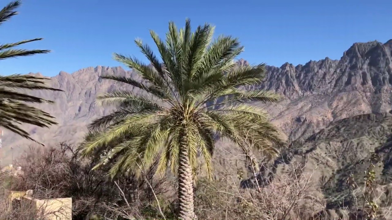 Wakan Village - A Perfect destination in Oman for peace and adventure Lovers
