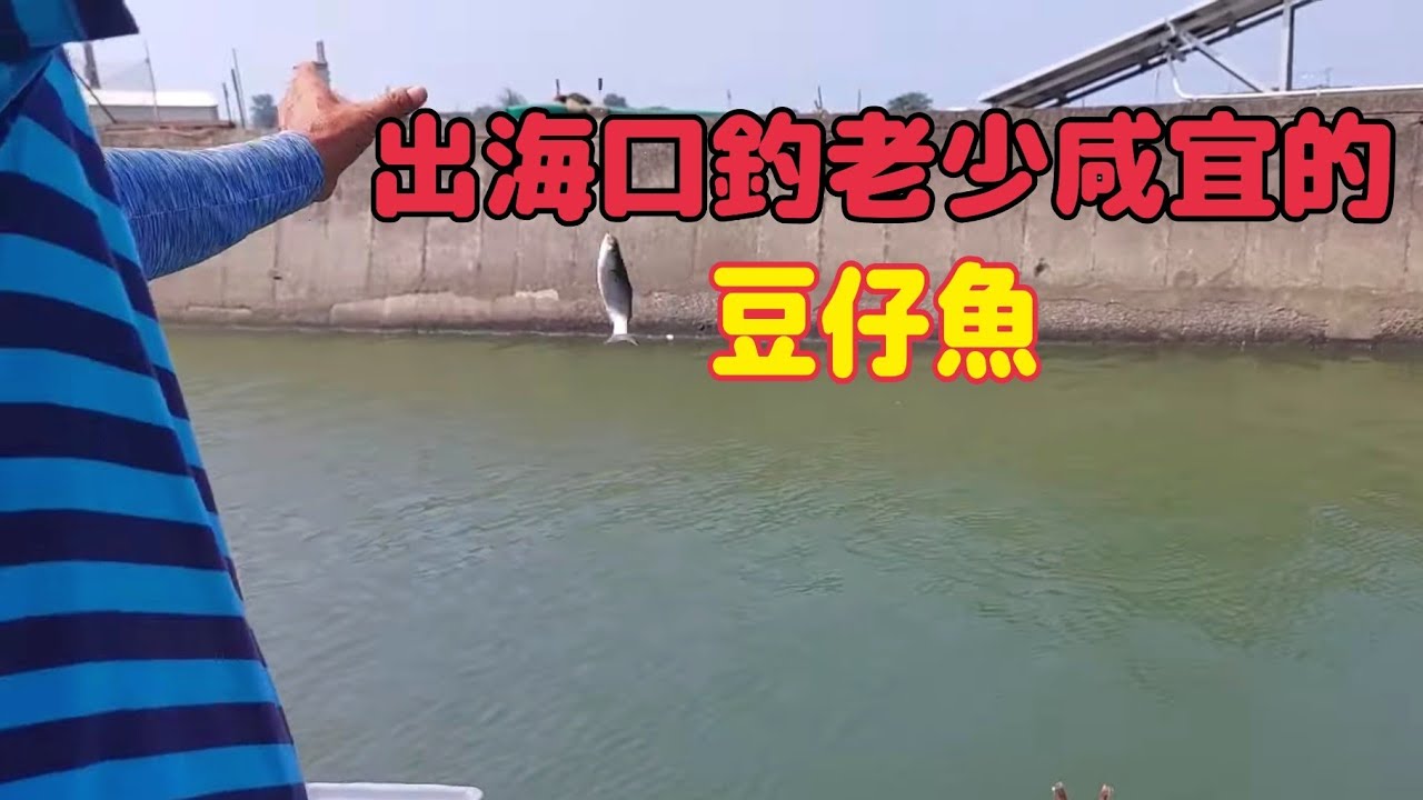釣豆仔魚釣一半突然想要釣黑公 PS（前天他在這裡釣了一大冰箱的黑公今天會延續前天的好運嗎？）騎著摩托車去彌陀國小對面釣魚店買雞屎蟲（ 第142部）