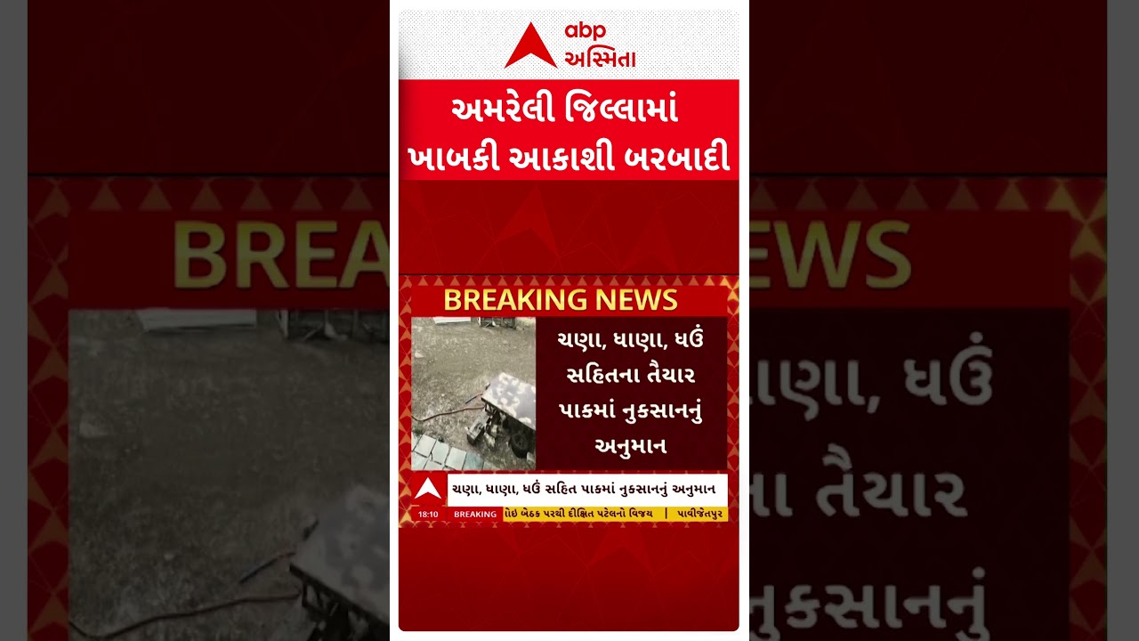 Amreli Unseasonal Rain | અમરેલી જિલ્લામાં પડ્યું માવઠું, ખેડૂતોના પાકને નુકસાનનો ભય