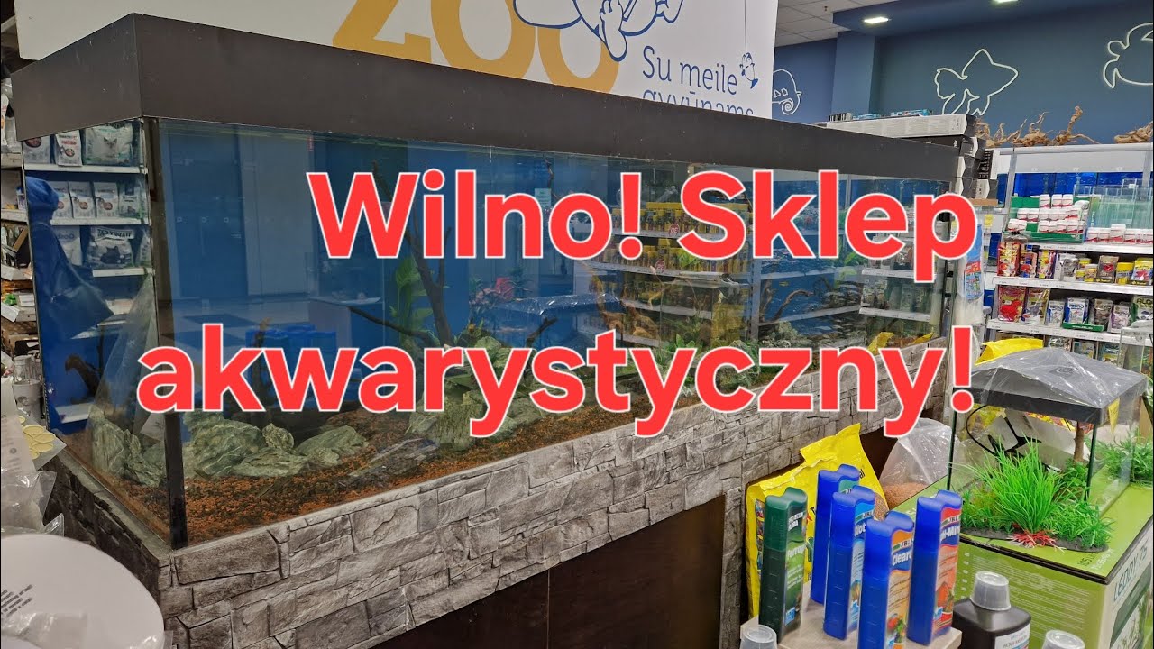 Sklep akwarystyczny! Wilno!