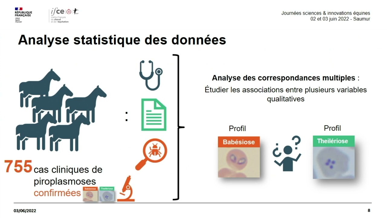 Piroplasmoses aiguës chez le cheval : comparaison clinique - Coralie Lupo
