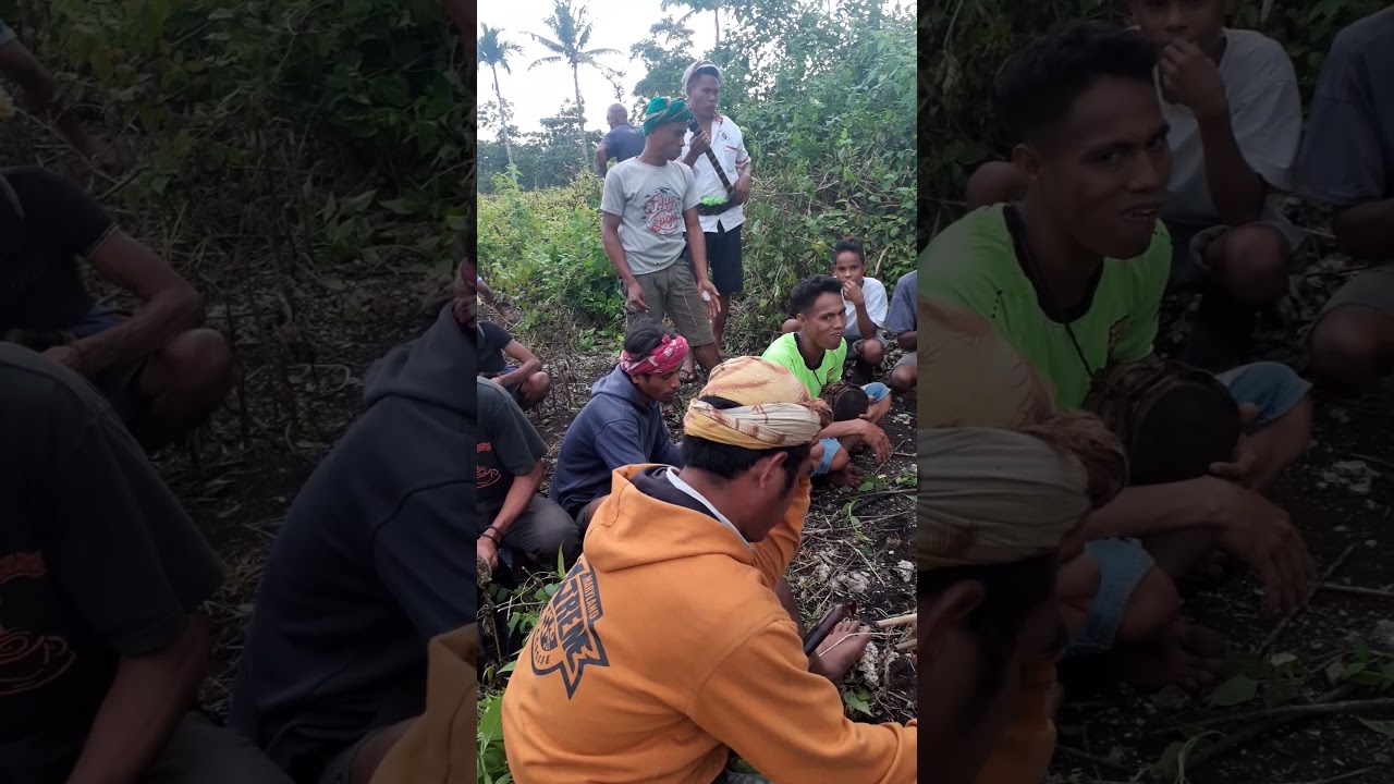 Urus Adat Sumba Barat Daya,Suku Wee Lewo,Kampung Sapurata 💪🙏