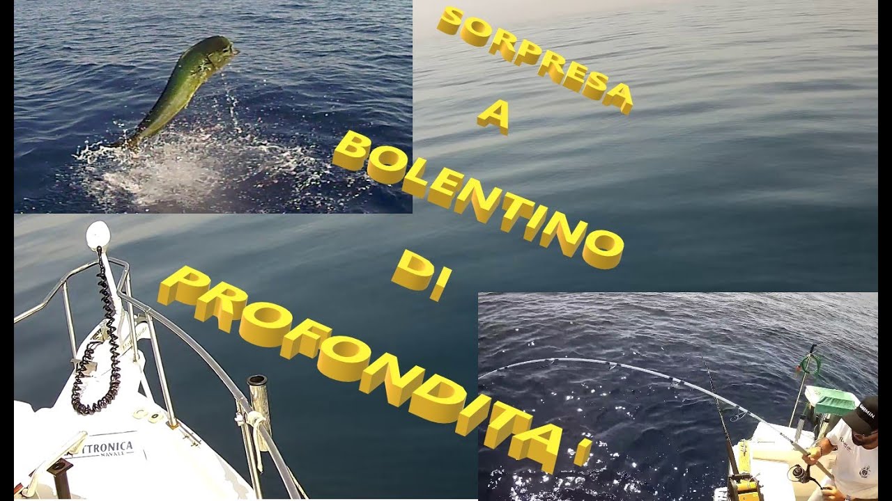 INASPETTATA SORPRESA A BOLENTINO DI PROFONDITA'
