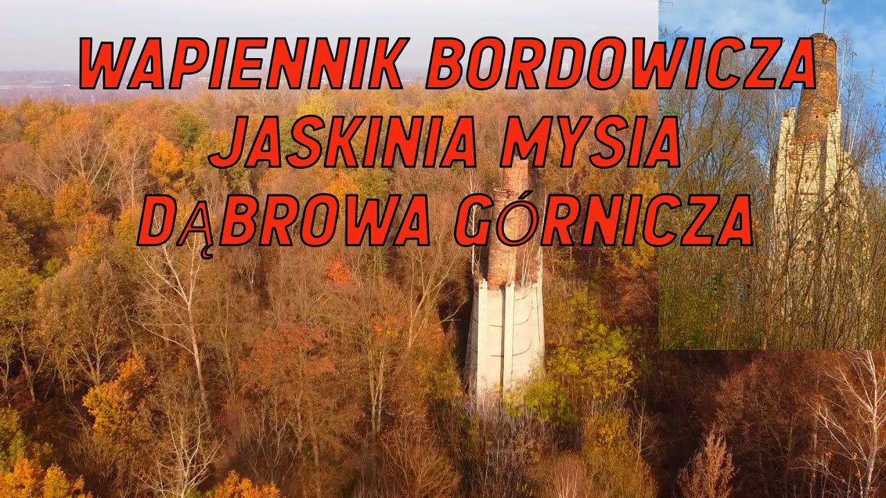 Wapiennik Bordowicza Jaskinia Mysia Dąbrowa Górnicza