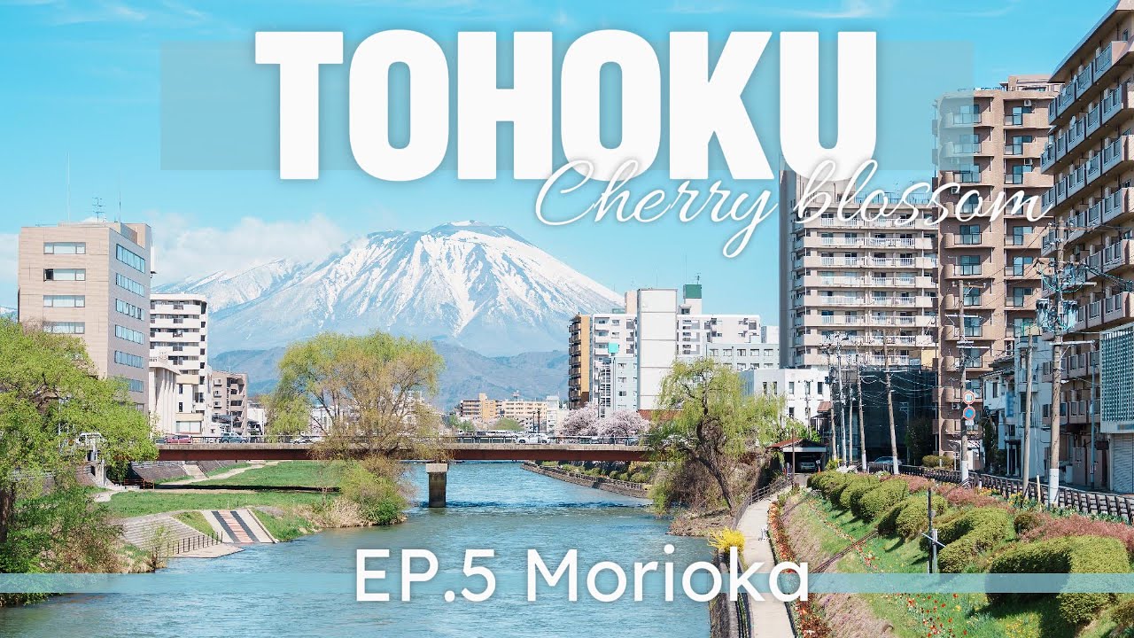 Cherry blossom in Tohoku 🇯🇵 EP. 5 | Morioka city, Cafe, Foods