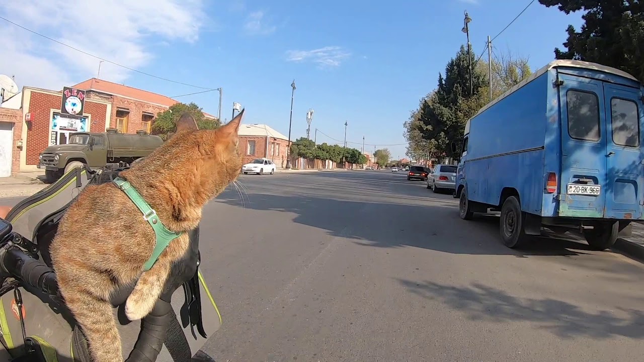 Azerbaijan Cycle with Nala Cat 🇦🇿