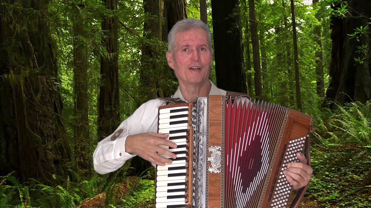 Dunkle Wälder ( Avsenik ) auf dem Akkordeon mit Gesang von Gottfried Kletzmair