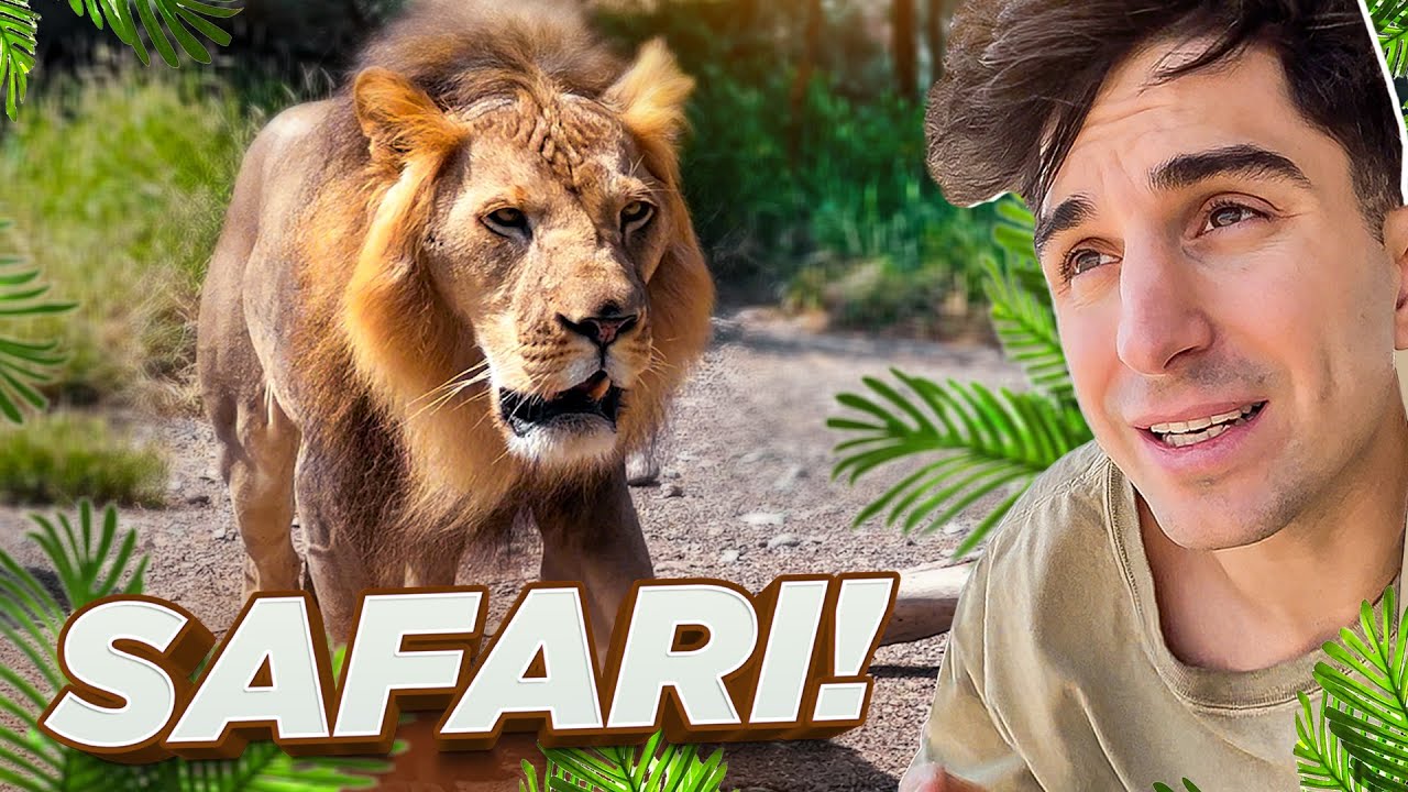 Safari INCREDIBILE! Incontro faccia a faccia con i PREDATORI PIU' FEROCI!