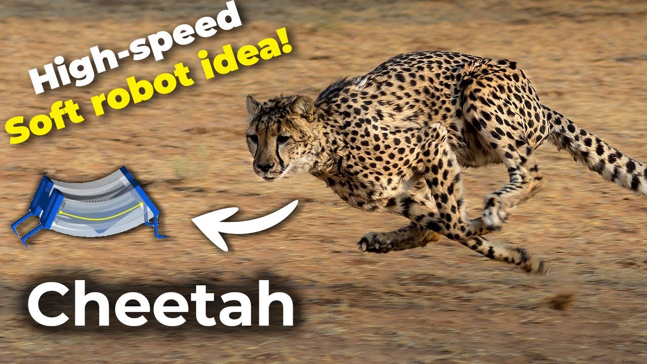 Cheetah inspired soft robot | Fast Biomimetic Robot