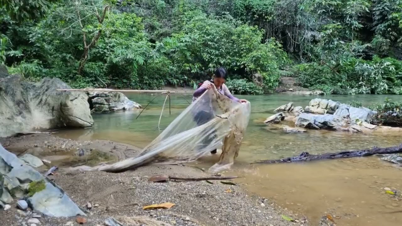 Methods for trapping giant fish in natural streams and bringing them back for breeding.