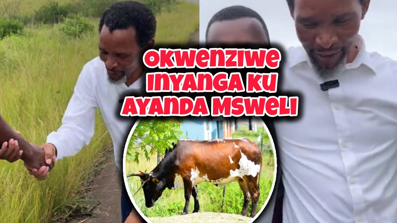 Ngeke ukholwe okwenziwe iNyanga ku Ayanda Msweli😱🔥🇿🇦💔|| iMhlabisa ngenkomo😱🔥🇿🇦