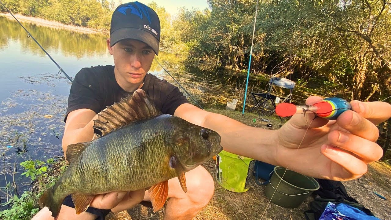 Pecanje &scaron;tuke, bandara i basa na žive kedere. Jezero puno ribe !