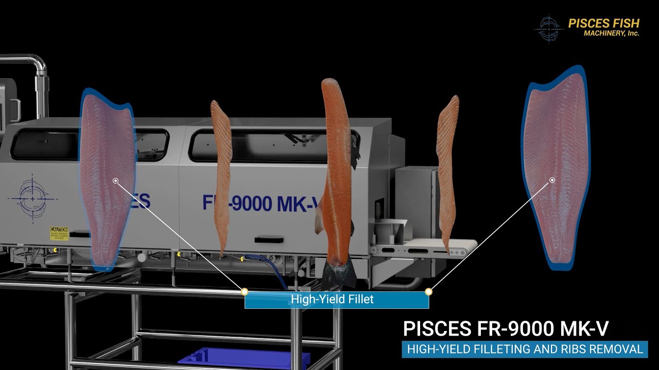 ⚡Maximize salmon processing with FR-9000 MKV: 3-blade system for precision cuts & top fillet yield!🐟