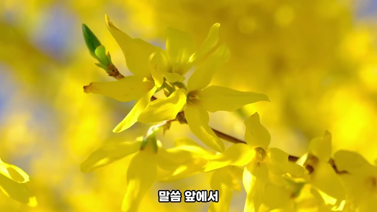 하루 한 장, 말씀을 노래하다 | 모리아의 새벽  | 창세기 22장