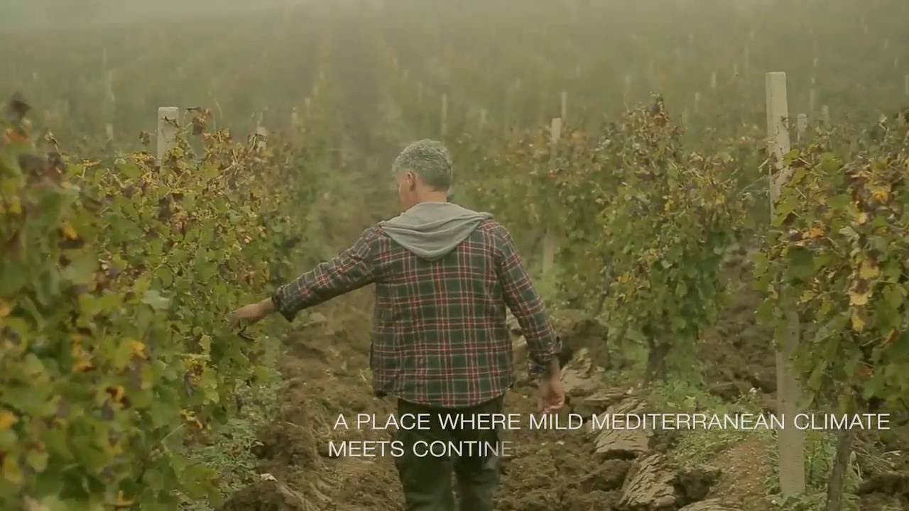 Tikve&scaron;... A passion that lasts for 130 years