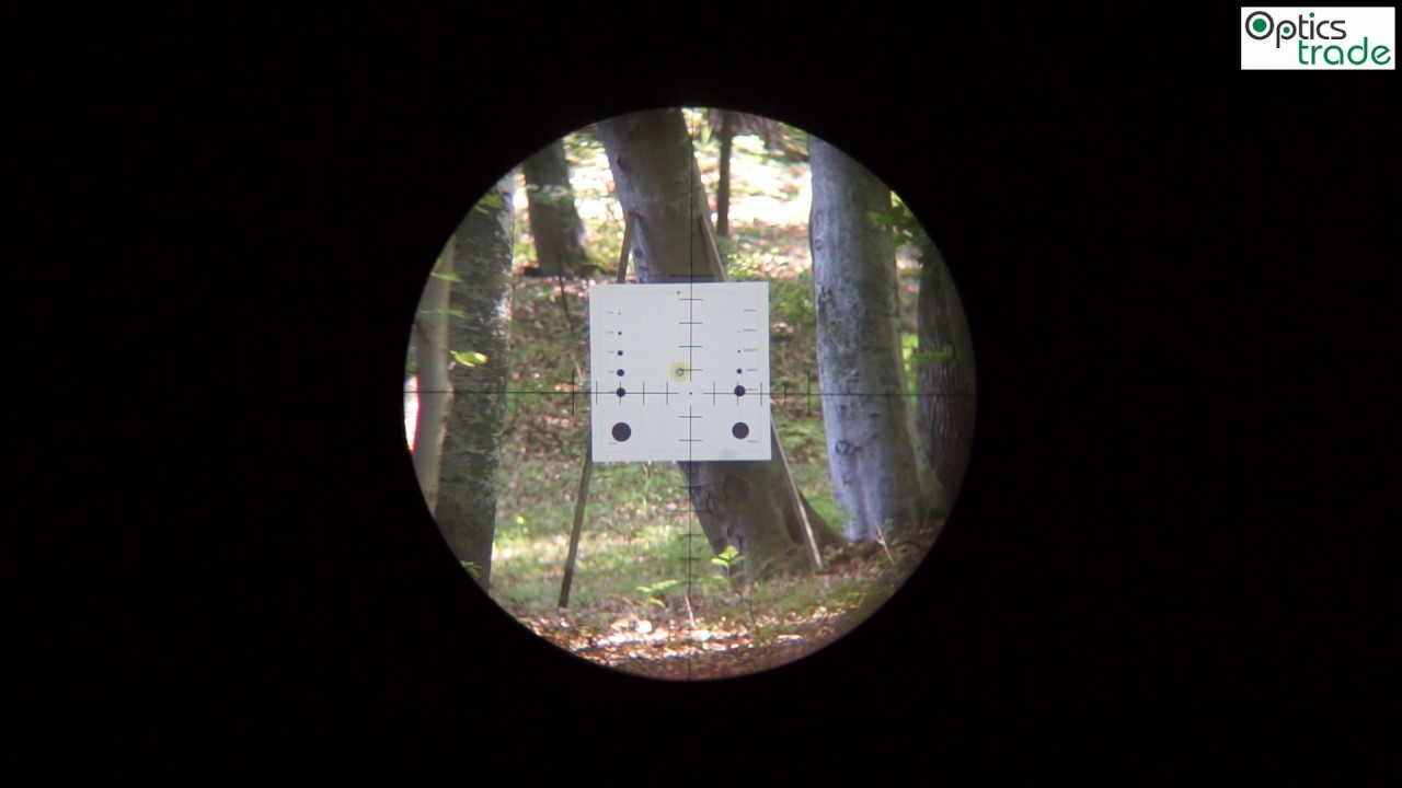 Sightron SVSS 10-50x60 MOA-2 Reticle Subtensions