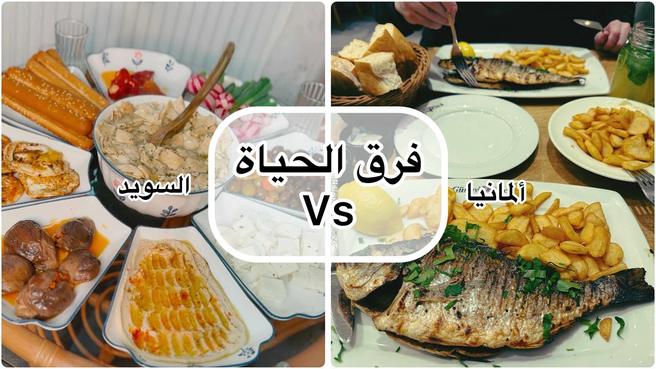السويد ولا ألمانيا؟ فرق الحياة اللي ما حدا بيحكي عنه🤯