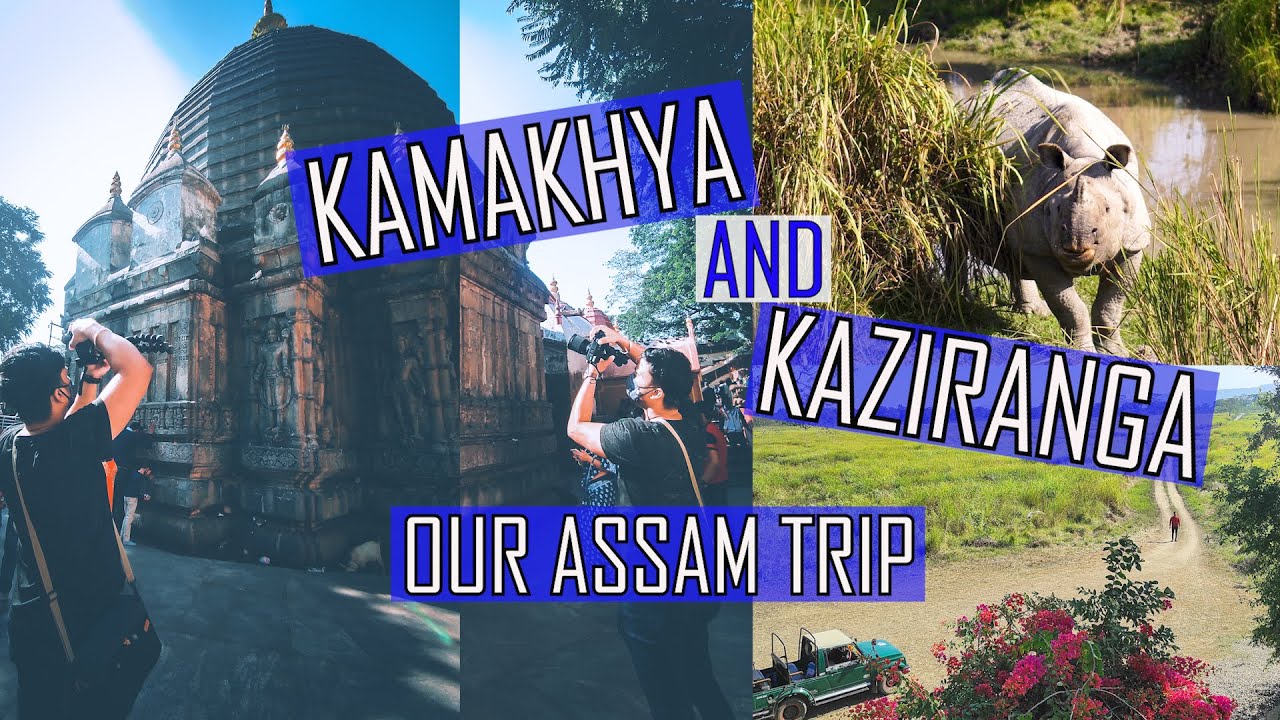 KAZIRANGA National Park and KAMAKHYA Temple | Assam Tour | NorthEast India Trip |