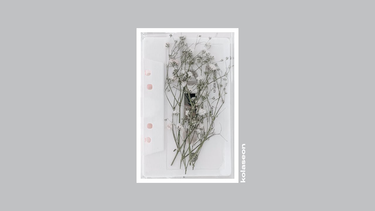 Canadian Rifles - Eastern Nurseries (2019) [Full EP] [ambient]