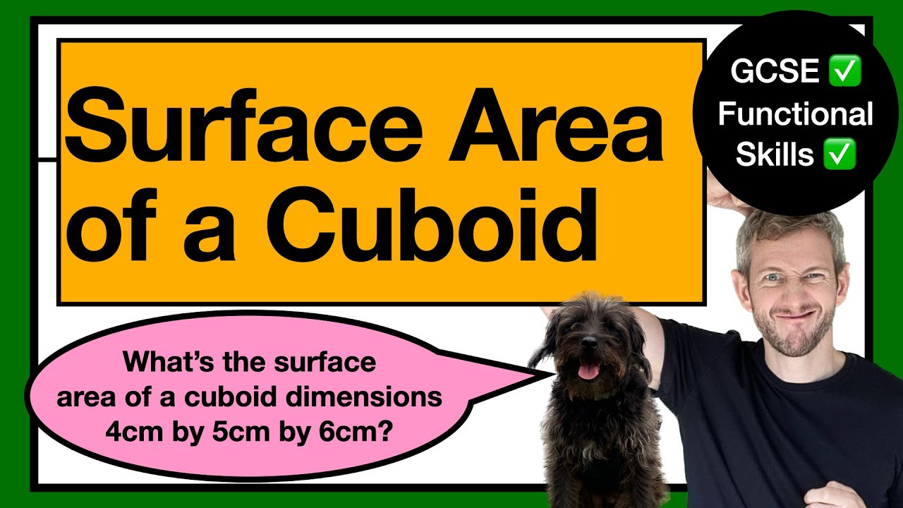 51. SURFACE AREA: Calculating the Surface Area of a Cuboid