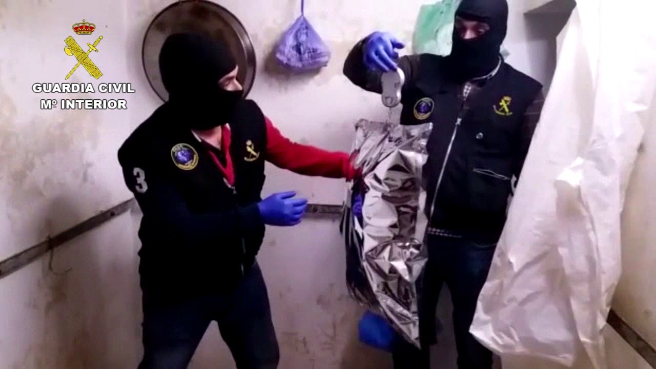 Detenida una importante red de drogas en Valladolid y Vizcaya