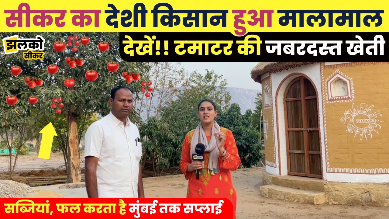 सीकर का देशी खुशमिजाज किसान जिसने आर्गेनिक खेती के दम पर कमाए लाखों पैसे ~ Sikar News