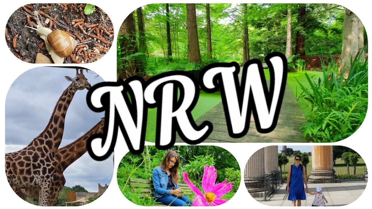 Unsere beliebtesten Ausflugsziele mit Kindern in NRW - Die 10 sch&ouml;nsten Ausflugsm&ouml;glichkeiten