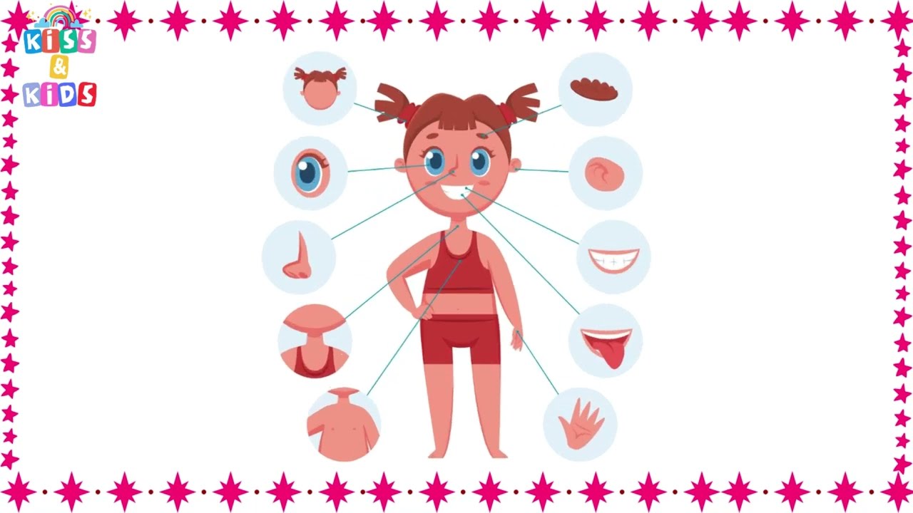 🧠Learning Our Body Parts For Kids🎈🌈 Early Learning Made Fun & Easy!