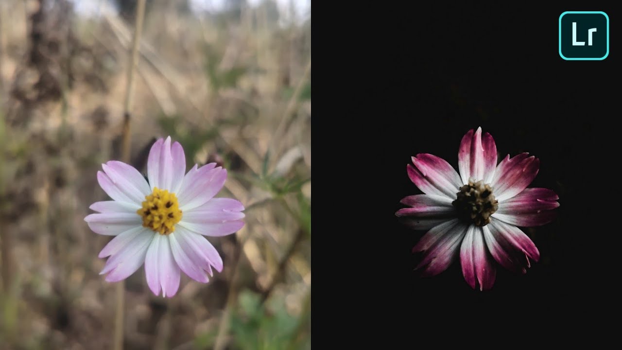 LIGHTROOM TUTORIAL : Moody flower editing || 2 Lightroom Dark Background Lightroom l Snapseed