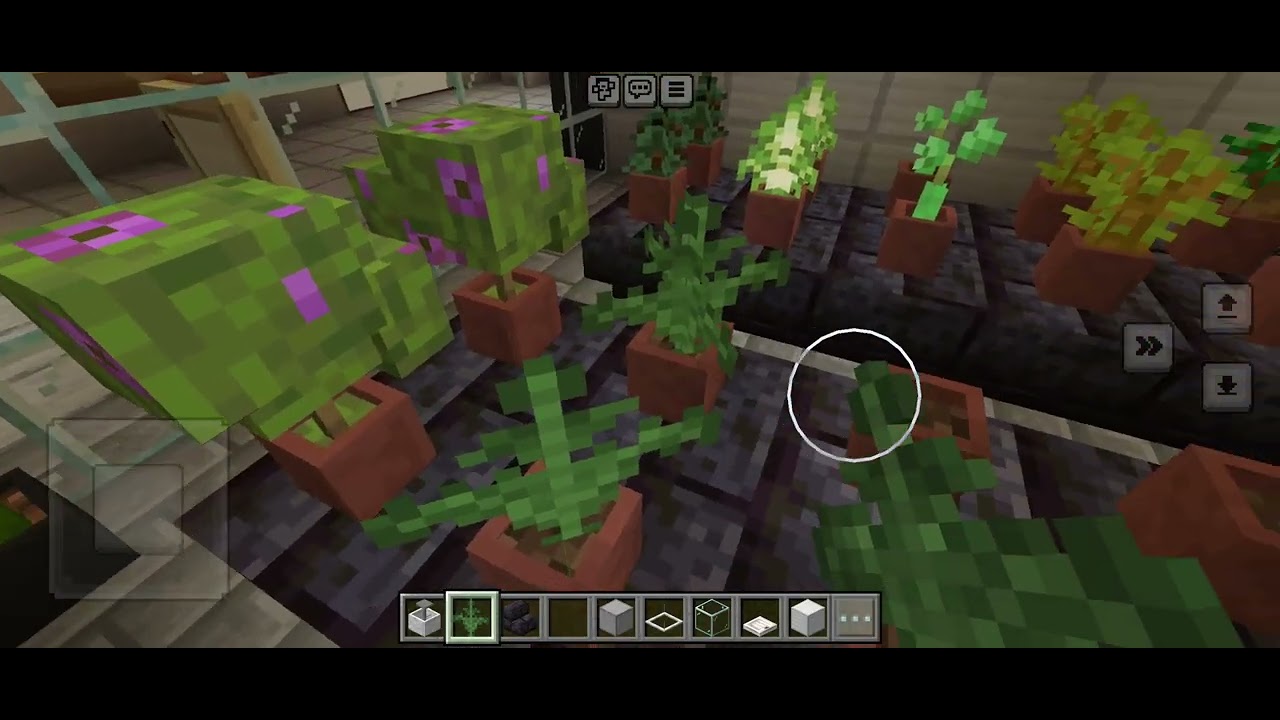 23 січня 2026 р.