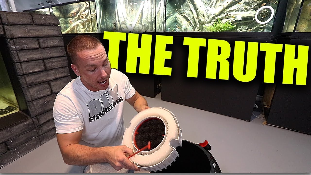 THE TRUTH ABOUT AQUARIUM FILTERS - CANISTERS