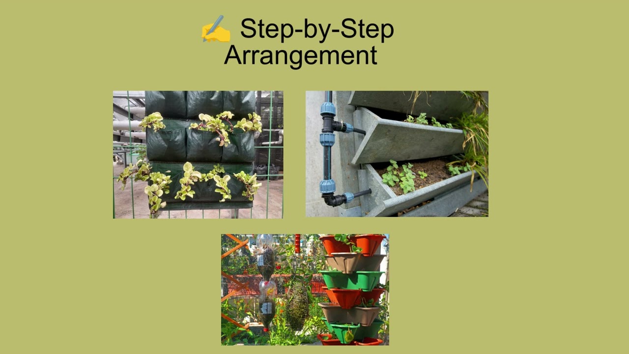 Beginner-Friendly Guide of Vertical Gardening in Containers