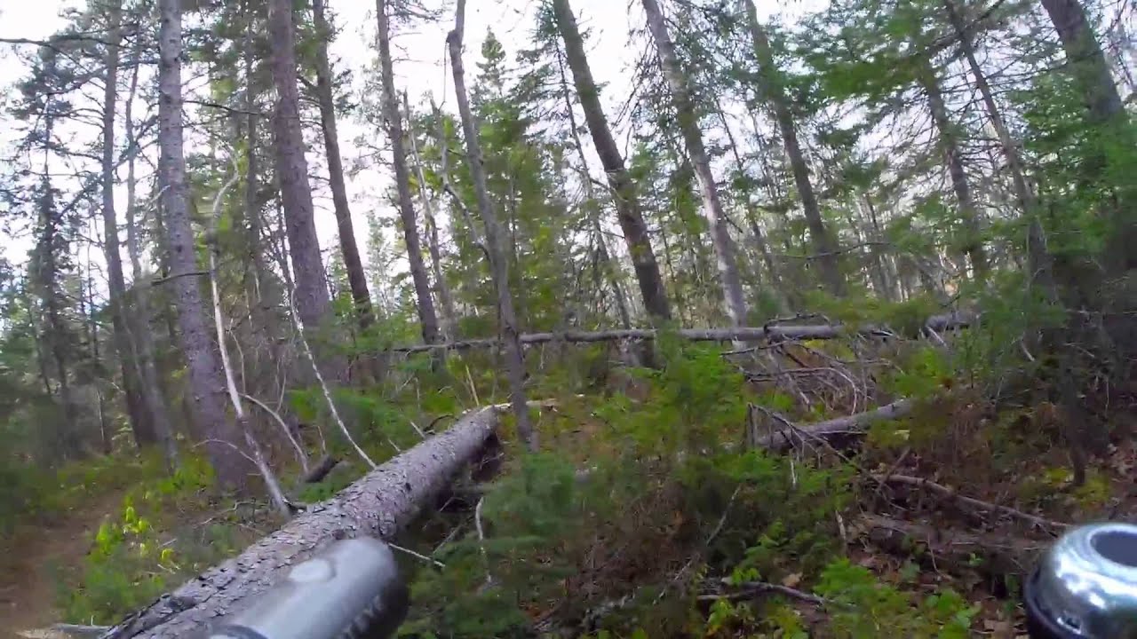 Kouchibouguac Major Kollock bike trail