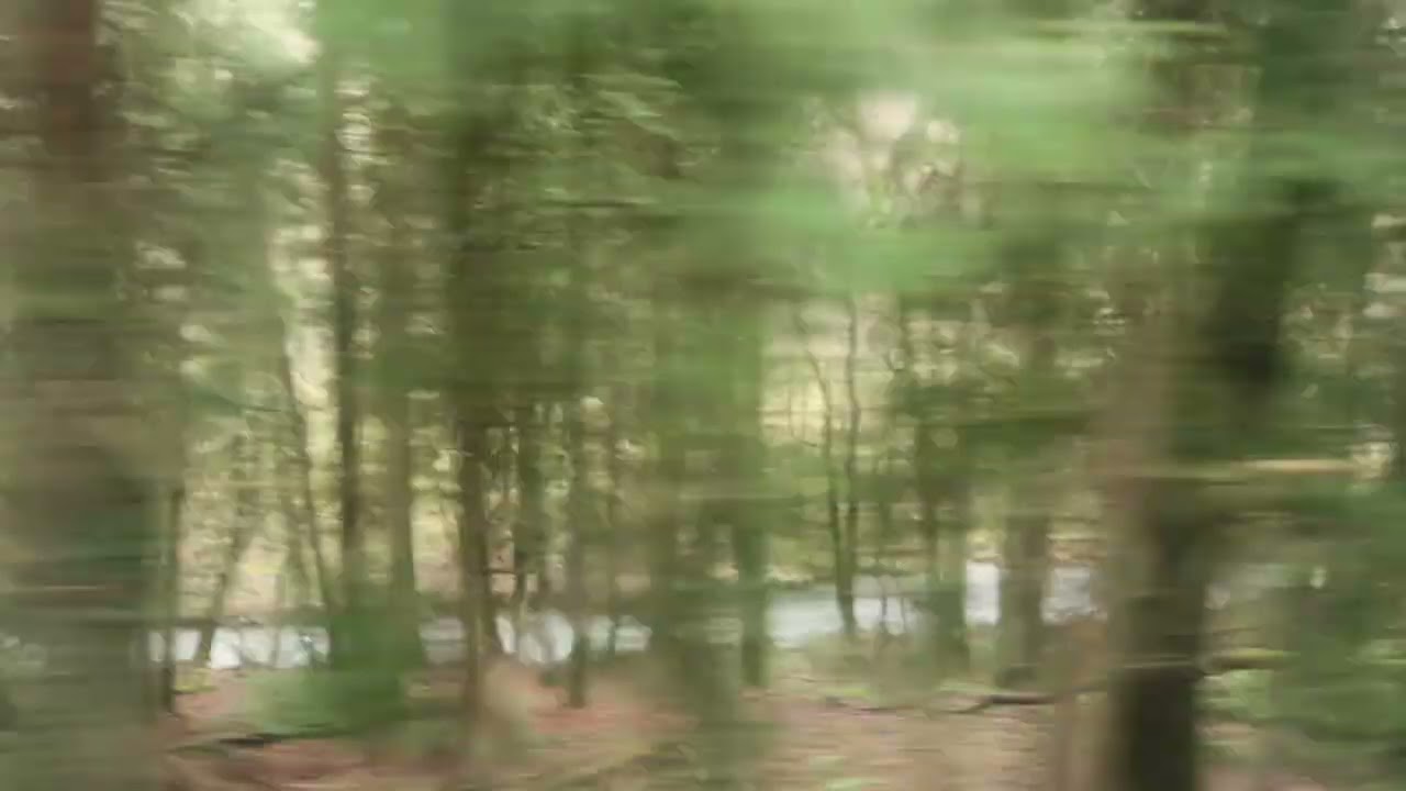 a flickering line between two points in the landscape