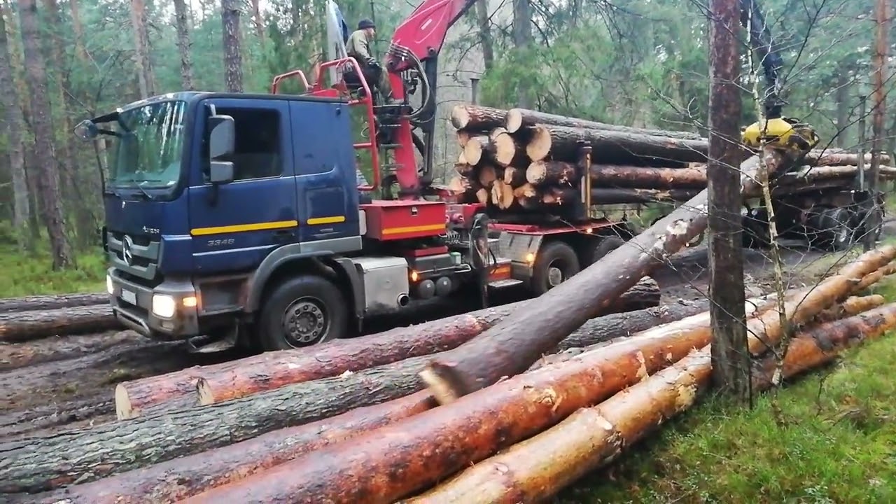Vlog #36 Transport drzewa z lasu.