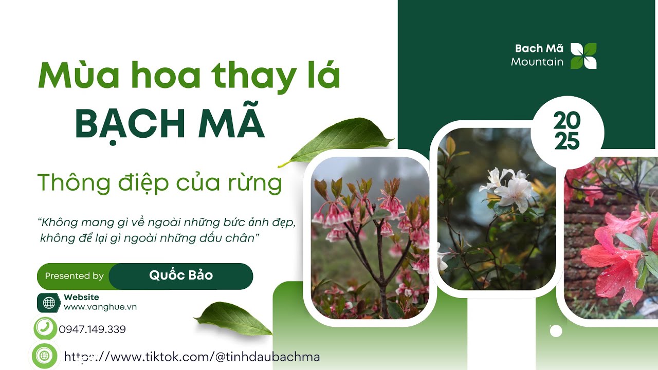 Mùa thay lá Bạch Mã