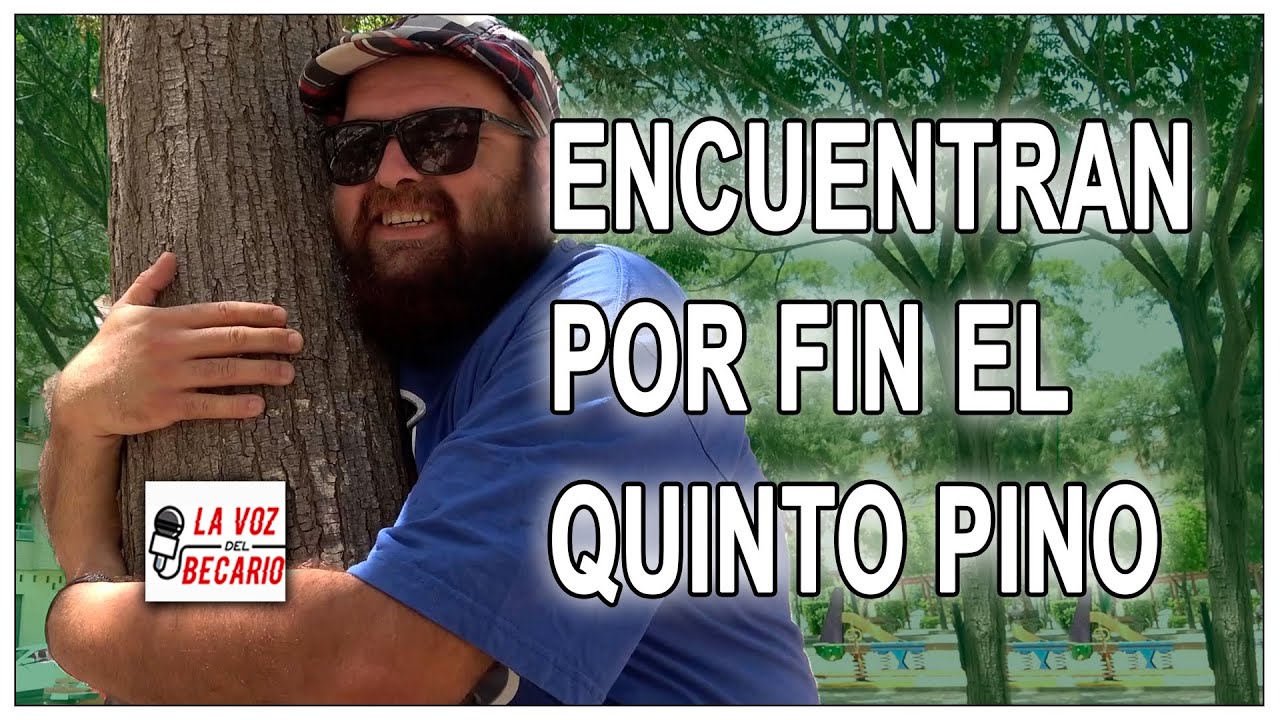 Encuentran por fin El Quinto Pino