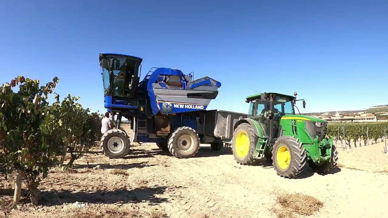 Vendimia Ribera De Duero 2021