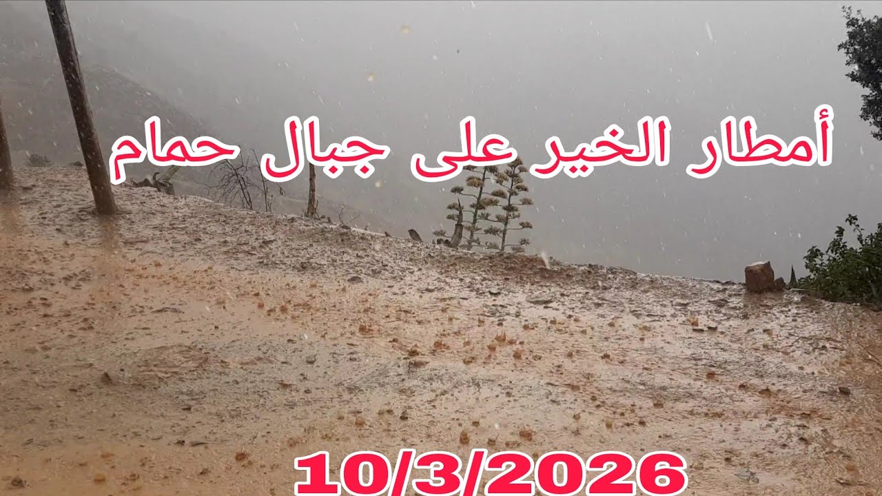 الأن أمطار الخير على جبال الريف 10/3/2026 إقليم الحسيمة 