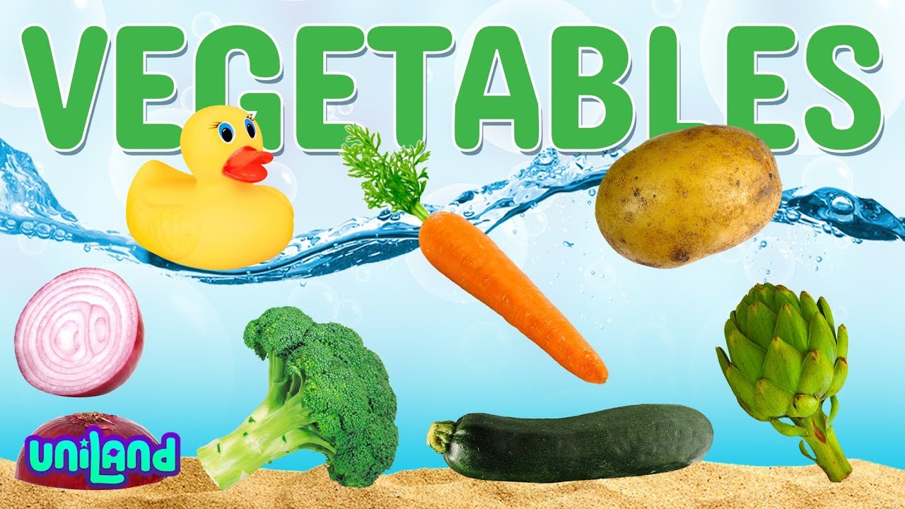 Sink or Float Challenge: Vegetables | UniLand Kids