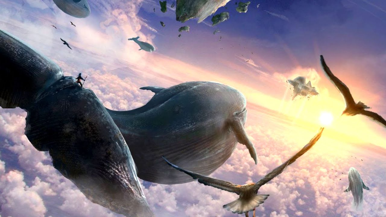 FLYING WHALE 🐳