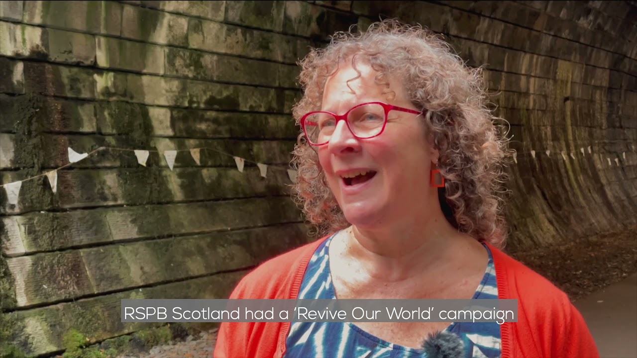 RSPB video 'No Birds Land' by Tamsin Grainger