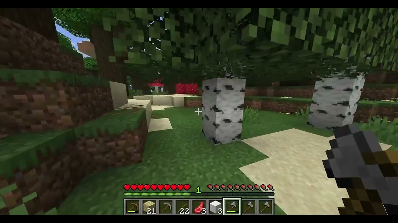 first survival day!