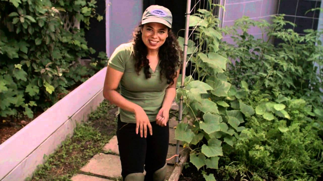 How to Make An American Salad