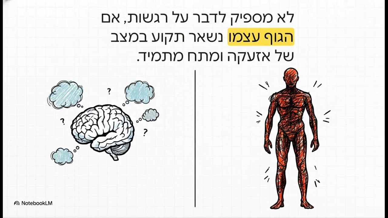 למה תוכנית הקוד העצבי עובדת