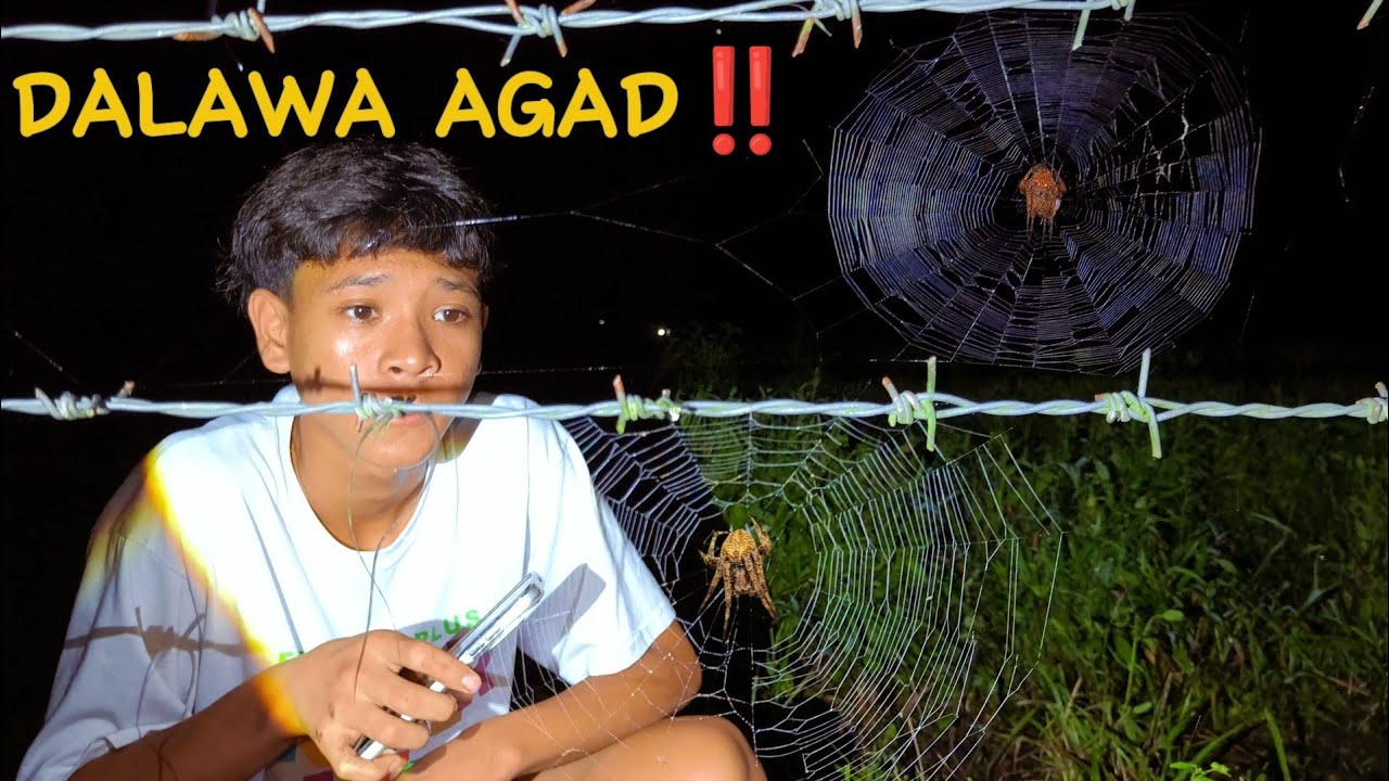 GAGAMBANG ALAMBRE ‼️🕷️.